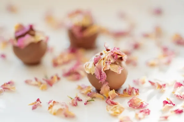 Cresus Casino App Android/iOS